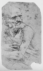 Halflange Karikatuur van een Oude Man met een Prominente Kin, ca. 1480 1945