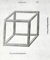 Hexaedron planum vacuum, illustratie uit 