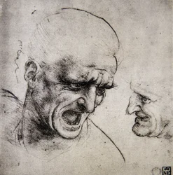 Studie voor de Slag bij Anghiari