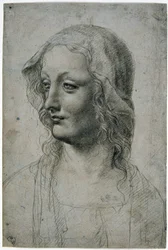 Maestro della Pala Sforzesca (Milanese leerling van Leonardo da Vinci), vrouwenhoofd met sluier, misschien een studie voor de Maagd, GDSU 426 E