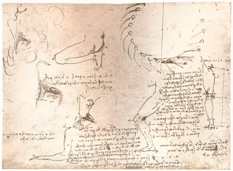 Schetsen ter illustratie van de theorie van de verhoudingen van het menselijk figuur, ca. 1472-ca. 1519, 1883