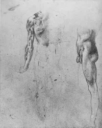 Studies van een naakte man gezien van de achterkant en zijkant, c1480