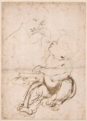 Studie voor de Madonna met een fruitschaal, ca. 1478