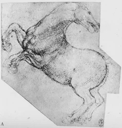 Studie van een steigerend paard, ca. 1480