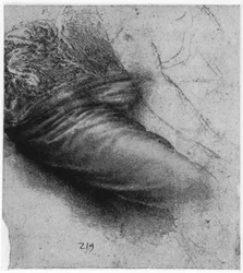 Studie van een kledingstuk voor Sint Anna, 1503-1517, 1954