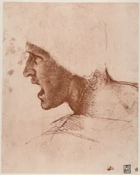Studie van mannelijk hoofd voor de Slag bij Anghiari, tekening door Leonardo da Vinci