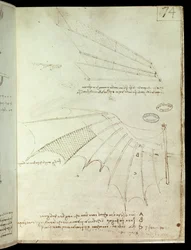 Vleugel. Vliegmachine tekening. Manuscript van Leonardo da Vinci