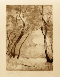Bomen aan de oever van de Grunewaldsee