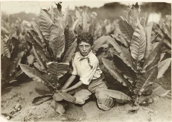 Tienjarige plukker op tabaksboerderij Gildersleeve
