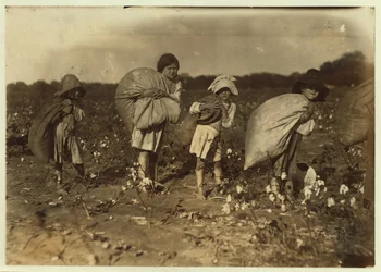 Edith 5 en Hughie 6 plukken de hele dag katoen, Alton 7 plukt 50 pond en Ruth 9 plukt 75, op de boerderij van H.M. Lane, Bells, Texas, 1913