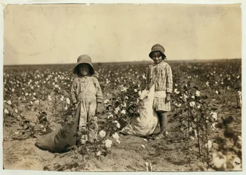 Jewel en Harold Walker, 6 en 5 jaar oud, plukken 20 tot 25 pond katoen per dag in Geronimo, Comanche County Oklahoma, 1916