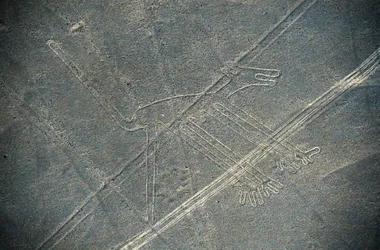 Hond, Nazcalijnen, Nazca, Peru, Nazca-beschaving (foto)