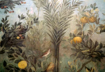 Granaatappelboom, detail van een fresco met een tuin met fruitbomen en vogels, uit het Huis van Livia op de Palatijnse heuvel, Rome, Italië. Romeinse beschaving