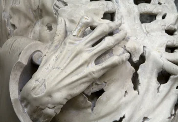 Gevild, of Het skelet (detail)
