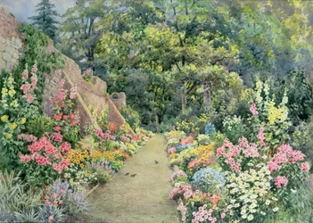 Een Zomer Kruidachtige Border