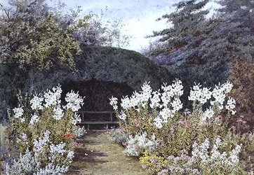 Paaslelies in de tuin