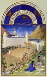 Facsimile van juli: oogsten en schapen scheren, uit de „Très Riches Heures du Duc de Berry“