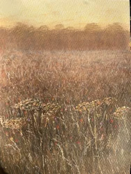 Bonenveld Schemering