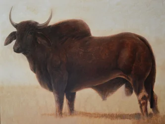 Brahmaanse Stier