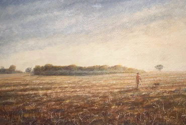 Hondenwandeling 1