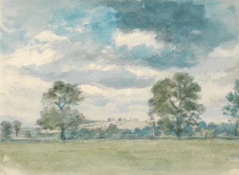 Zomerlandschap