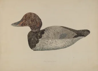 Lokvogel Eend #1, 1938