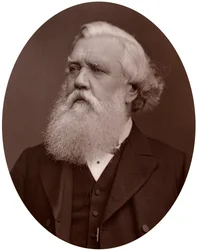 Right Hon Austen Henry Layard DCL, Britse ambassadeur in Constantinopel, 1877