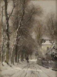 Een met sneeuw bedekte pad in de winter
