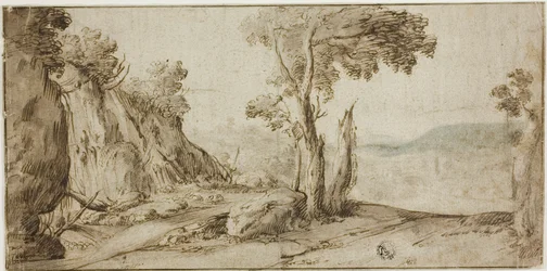 Rotsen en bomen aan de rand van de heuvel