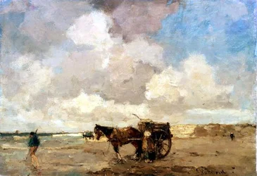 Zeewier Verzamelen