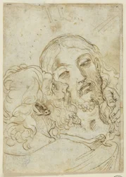 Kus van Judas