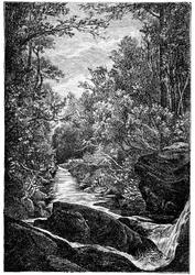 Bergstroom met rotsen en waterval in het midden van een bos. Tekening door Leon Benett gegraveerd door Meaulle voor de Hetzel editie van het boek door Elysee Reclus 