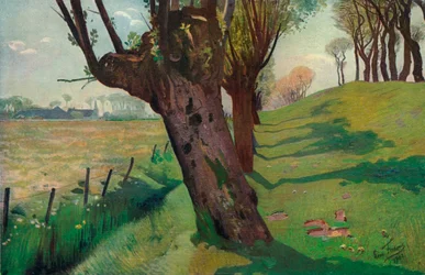 In Vlaams land, 1902