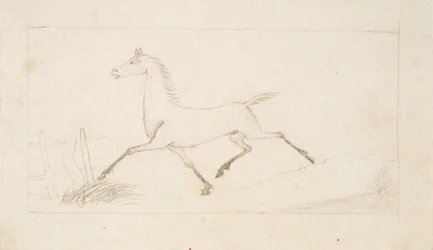 Een Paard in Draf