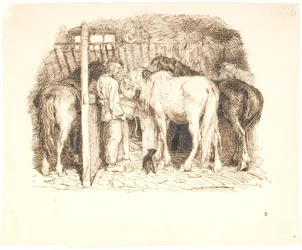 Paarden in een stal krijgen water van een jongen