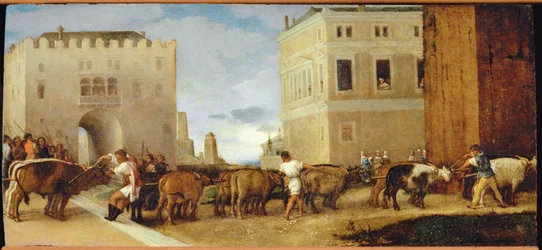 De ossen van Saint Lucia