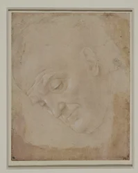 Portret van een kale man, driekwart naar links gedraaid ...