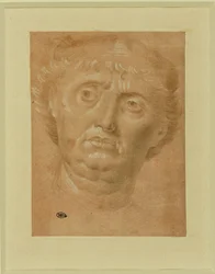 Portret van een man, vol gezicht, ogen naar links gedraaid ...