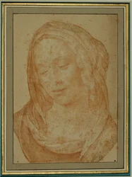 Portret van een vrouw met sluier ...