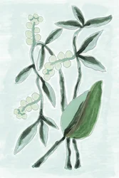 Groene botanische aquarel