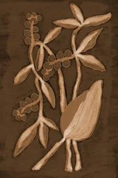 Biologische Sepia Botanicals