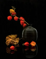 Stilleven met herfstlantaarns
