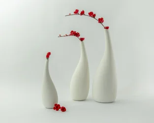 Rode vazen en bloemen