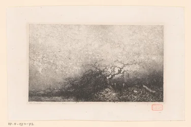 Landschap met een boom bij een poel