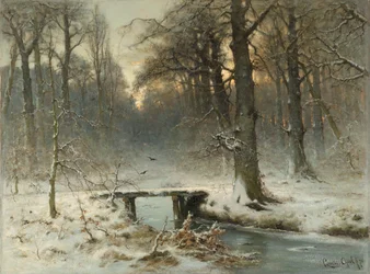 Een januariavond in de bossen van Den Haag