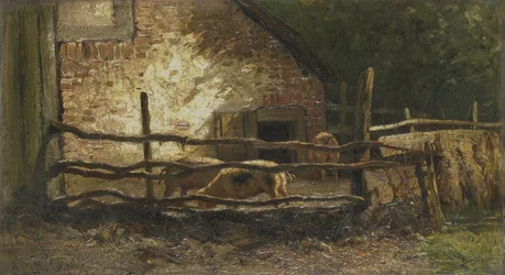 Varkens in een hok