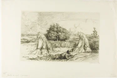 Bladeren van rogge
