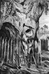 Ik plantte tien rijen palissaden. Gravure naar de tekening van M. de Sainson voor het boek van Daniel Defoe 