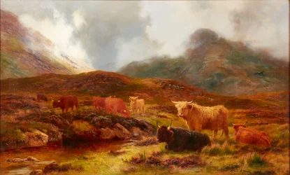 Heide bij Clachaig, Glencoe