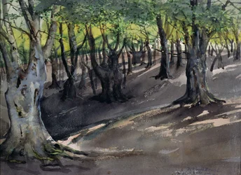Het hart van Epping Forest, High Beech